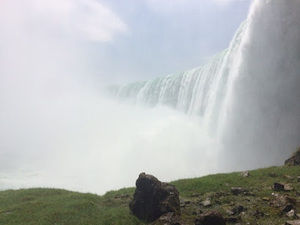 Meet your Posher, Sydney